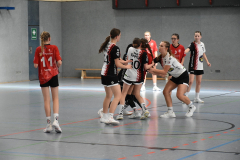 26-09-12_wC1_gg_TVIdstein_013