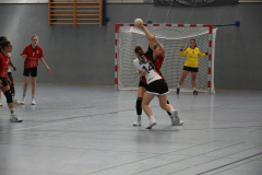 26-09-12_wC1_gg_TVIdstein_018