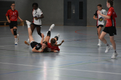 26-09-12_wC1_gg_TVIdstein_036