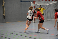 26-09-12_wC1_gg_TVIdstein_119