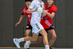 2026-09-27_mB1_gg_HSGHochheimWicker_116