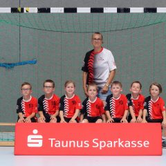 F-Jugend Bremthal beim Spielfest der TSG Eddersheim