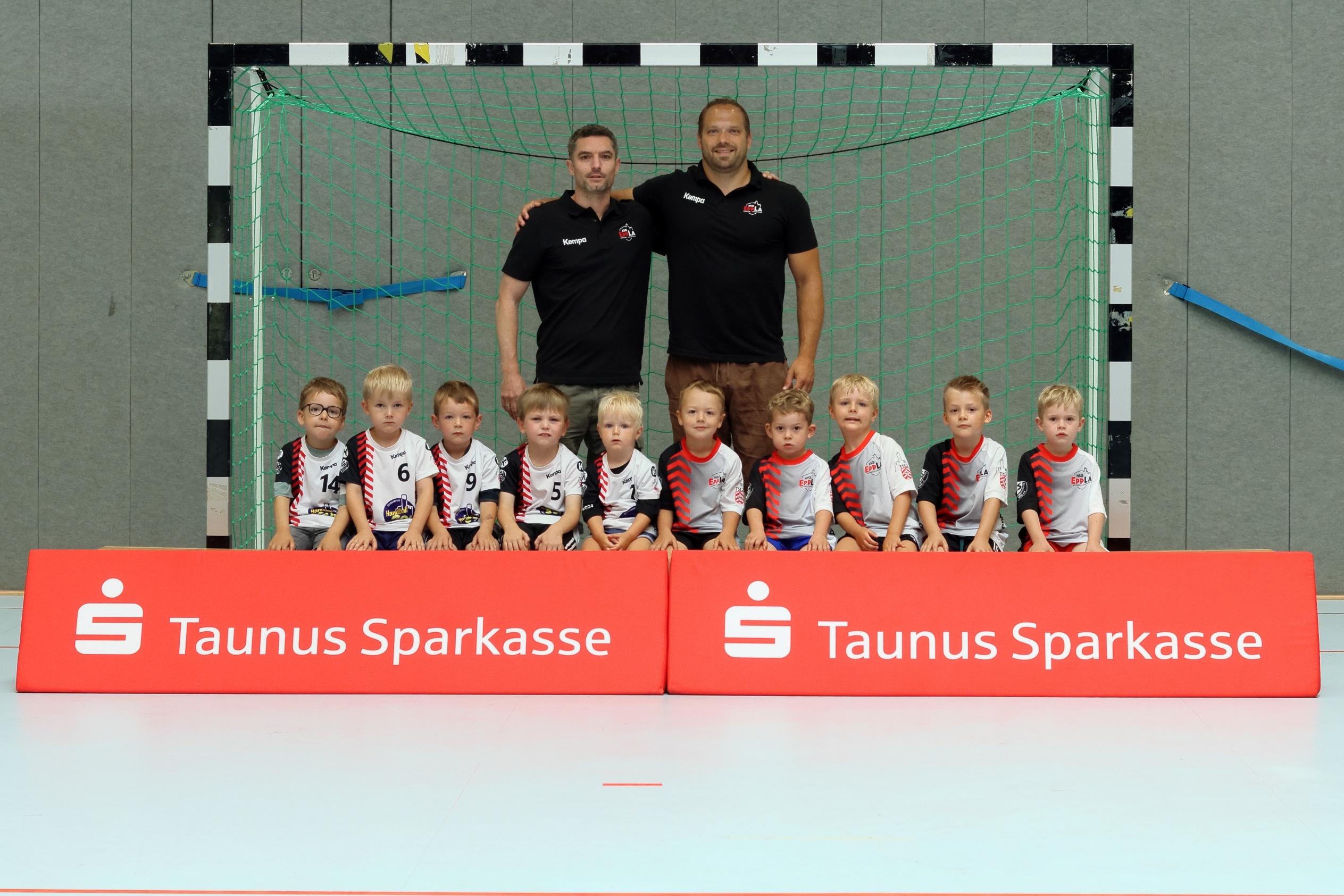 Mini-Minis Eppstein